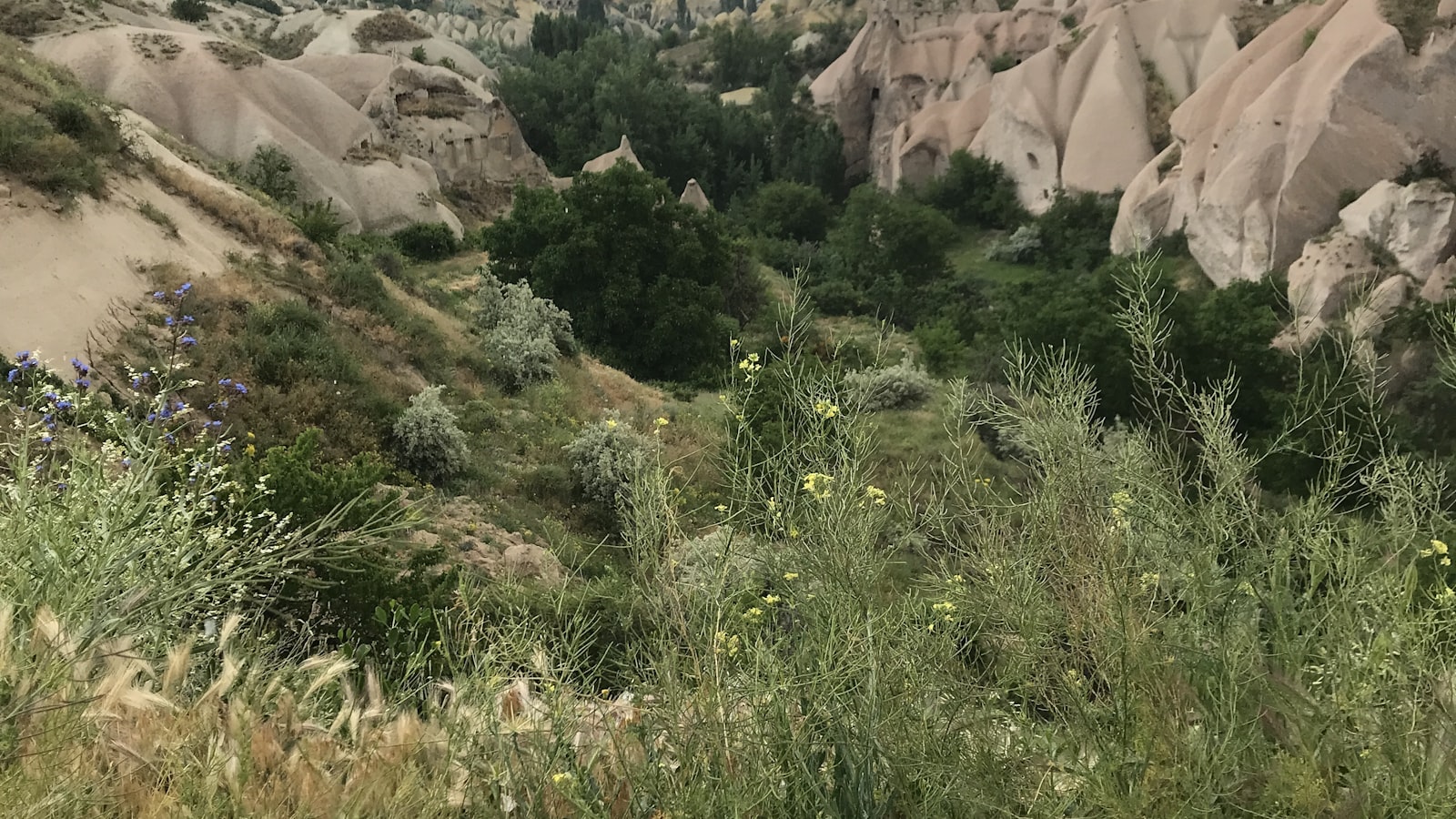 Fairy chimney rock formations in Cappadocia