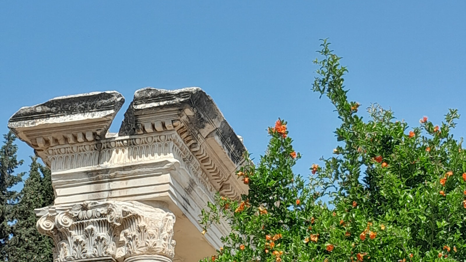 Ancient ruins of Ephesus with columns