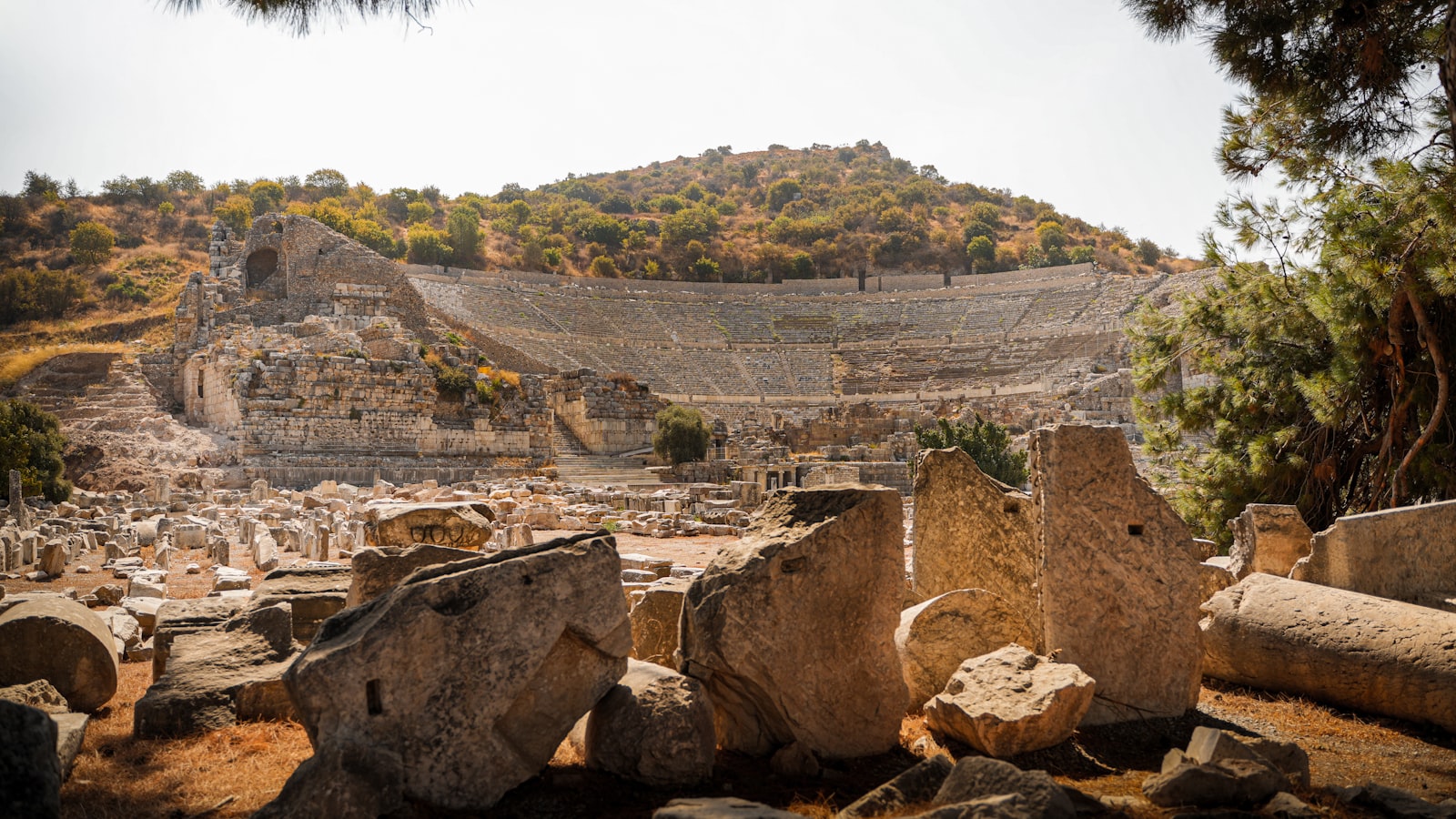 Ephesus Day Trip: Best Options from Izmir, Kuşadası & Selçuk